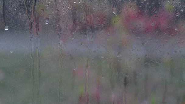 Regendagen, zware regenval op het raamoppervlak. Slecht weerconcept. — Stockvideo