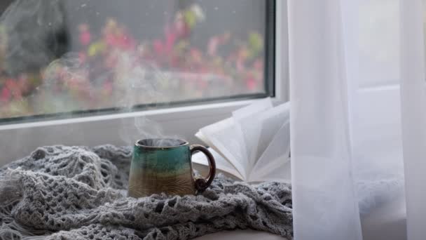 Close up video. Steaming coffee cup on a rainy day window background. cozy atmosphere, in cold weather. Rainy Day Mood. — Stock Video