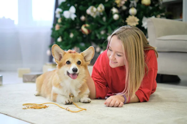 所有者と小さな犬が遊んで楽しんでいます。10代の少女がペットと床に横たわっています。背景にクリスマスツリー。ソフトフォーカス — ストック写真