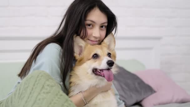Mladý dospívající dívka objímající corgi dog s láskou. Milovník psů s domácím zvířetem. měkké selektivní zaměření. šťastný teenager dívka pes majitel hrát se štěnětem venku.roztomilý zábava pár. — Stock video
