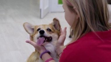 Genç kız Corgi köpeğine sevgiyle sarılıyor. Evcil hayvanlı köpek sever. yumuşak seçici odaklanma. Mutlu genç kız köpek sahibi köpek yavrusuyla dışarıda oynuyor. Sevimli, eğlenceli bir çift..