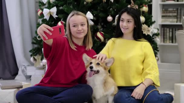 Две девочки-подростки улыбаются, делая селфи-фото вместе с маленькой собачкой Корги. С Рождеством и Новым годом. Праздник Рождества. — стоковое видео