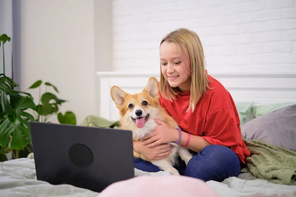 Tini lány vicces corgi kutya és laptop az ágyon otthon. Hangulatos munkahely, online oktatás, e-learning koncepció. Távolsági kommunikáció laptoppal — Stock Fotó
