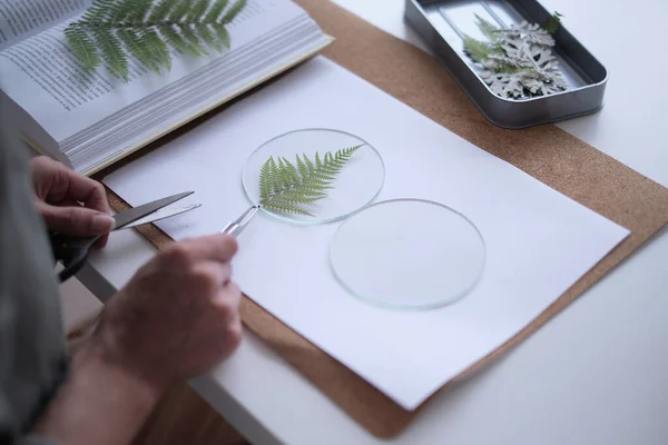 Woman fixes glass plates. A picture of dried flowers. Master class on creating frame with Herbarium in tiffany technique in stained glass. — Stock Photo, Image