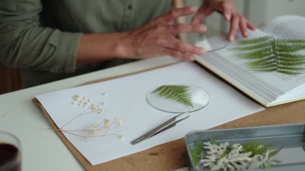 Femme fixe plaques de verre. Une photo de fleurs séchées. Master class sur la création de cadre avec Herbier en technique tiffany en vitrail. — Video