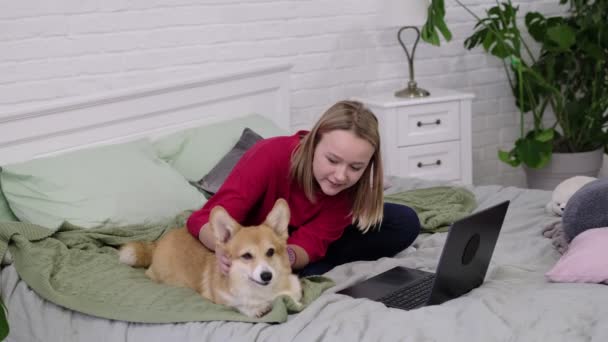 Adolescente con divertente cane corgi e laptop sul letto a casa. Luogo di lavoro accogliente, istruzione online, concetto di E-learning. Comunicazione a distanza con laptop — Video Stock