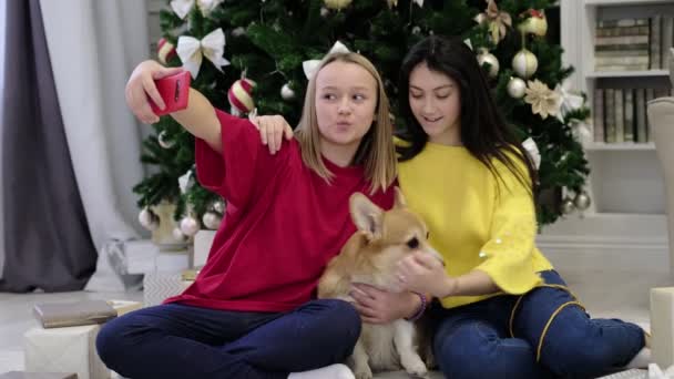Két tini lány vigyorog, szelfi fotót készítenek egy kiskutyás corgival. Boldog karácsonyt és boldog új évet! Karácsonyi ünnepség. — Stock videók