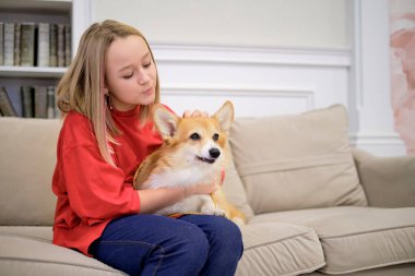Sahibi olan küçük köpek oynuyor ve eğleniyor. Genç kız evcil hayvanıyla kanepede oturuyor. Arka planda Noel ağacı var. yumuşak seçici odak
