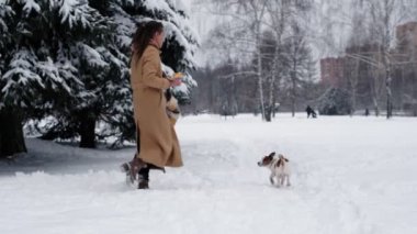 Köpeği olan oyuncu bir kadın. Havalı hippi kadın ve buz gibi kış parkında şirin Jack Russell Terrier. Gerçek mutluluk anları.