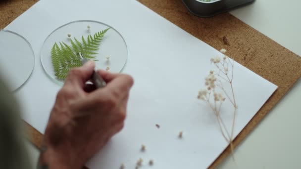 A nő üveglemezeket javít. Egy kép szárított virágokról. Mesterkurzus létrehozása keret Herbárium Tiffany technika festett üveg. — Stock videók