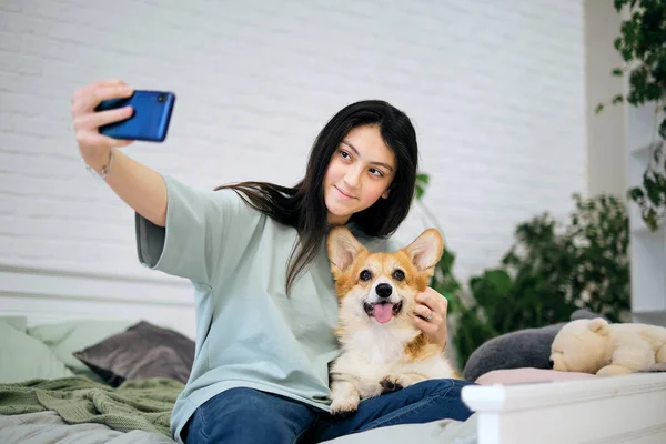 自宅で犬と一緒に自撮りしている10代の少女。家畜と犬の恋人。現代の技術、人、動物の概念 — ストック写真