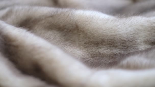 Luxurious mink fur texture close-up background. closeup the motion footage vide. — Vídeo de Stock