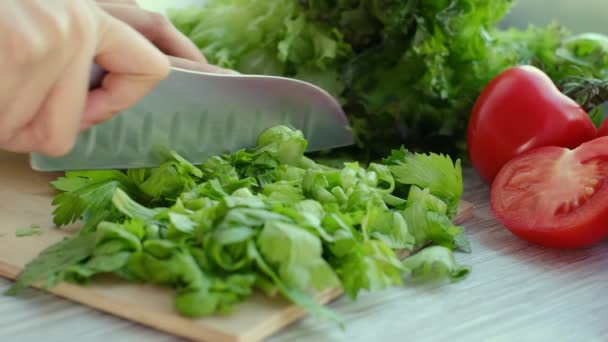 Woman hands using a knife to slice a bunch of fresh celery. Food fresh stalks of Celery peeling. Culinary delicious food being prepared. — Vídeo de Stock