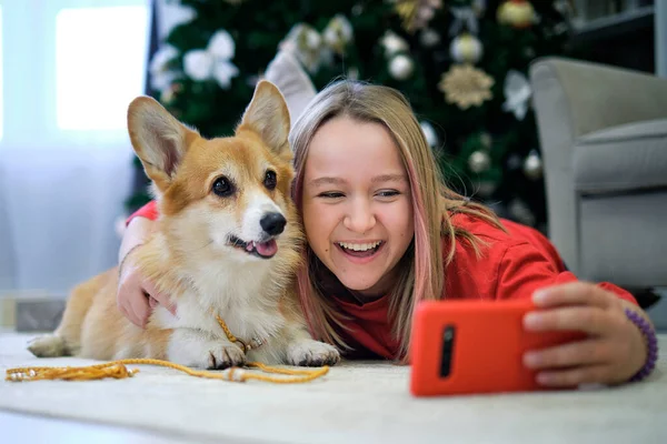 Концепция дружбы. Девочка-подросток делает селфи со своей собакой дома. Любитель собак с домашними животными — стоковое фото