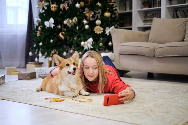友情の概念。自宅で犬と一緒に自撮りしている10代の少女。犬恋人とともに家畜 — ストック写真