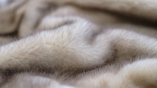 Luxurious mink fur texture close-up background. closeup the motion footage vide. — Stockvideo