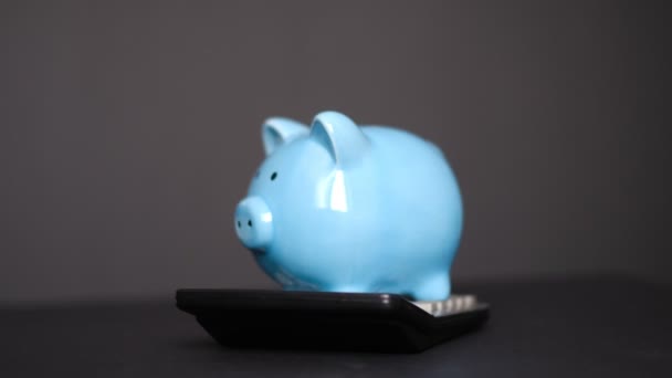 Sparschwein mit Taschenrechner in Großaufnahme auf schwarzem Hintergrund. Berechnung des Familienbudgets, Sparen. Minimalismus. Sparschwein dreht sich um sich selbst. Kreditrechner — Stockvideo