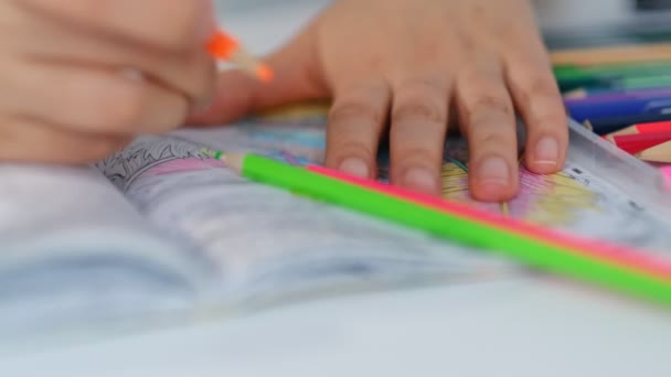 Libro para colorear adultos. mujer está coloreando un patrón ilustrativo y detallado para aliviar el estrés para adultos. — Vídeo de stock