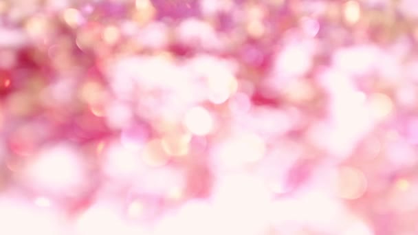 Glittering background material for loop playback. Bokeh summer wedding pastel background — Stock Video
