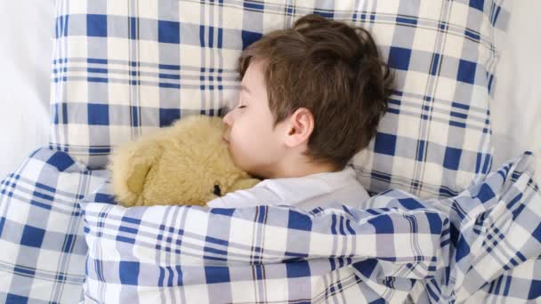Anak kecil setelah tidur di tempat tidur dengan mainan. Bayi laki-laki kecil yang lucu dan sehat sedang tidur. Tidur siang di bawah selimut di tempat tidur sambil memeluk boneka beruang. — Stok Video