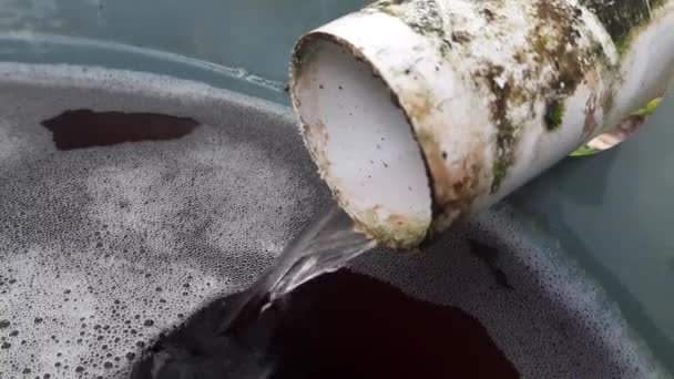 Ableitung Von Restwasser Aus Hydroponischen Anlagen Die Gefäßen Untergebracht Sind — Stockvideo