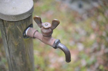 Çiftçi bahçesindeki paslı musluk