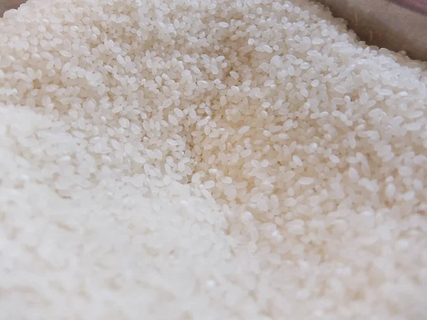 Freshly Milled Japonica Rice —  Fotos de Stock