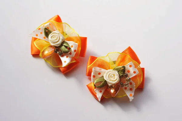 Small Orange Ribbon Dog Ear — Stock Fotó