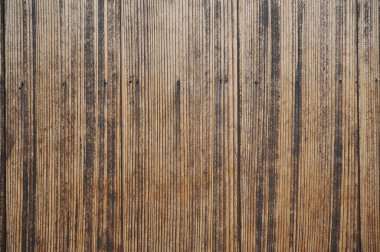 Kahverengi taneli sedir duvarları