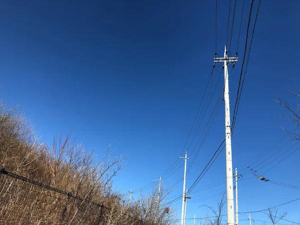 Cloudless blue sky and utility pole