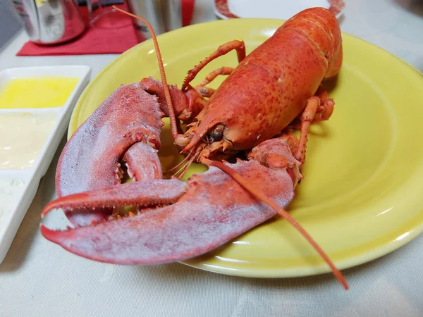 Lobster Yellow Plate — Φωτογραφία Αρχείου