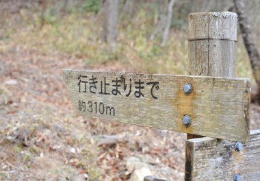 Ormanda çürüyen bir tabela.