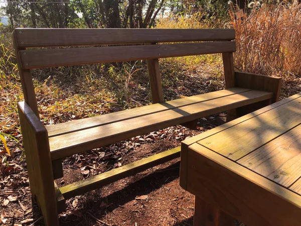 Benches Tables Forest — Fotografia de Stock