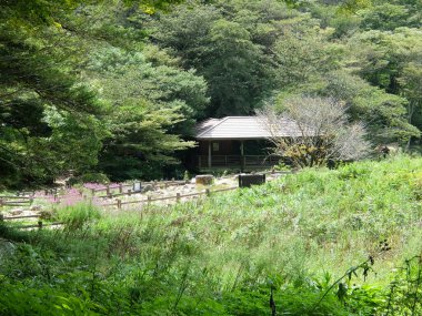A pavilion in a summer meadow