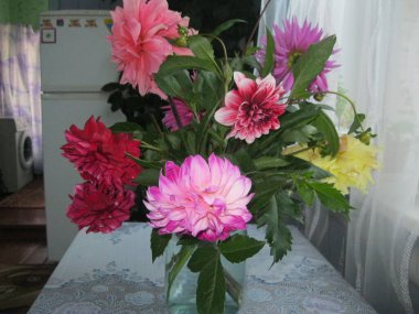 Odadaki masada renkli yıldız çiçeklerinden oluşan lüks bir buket.