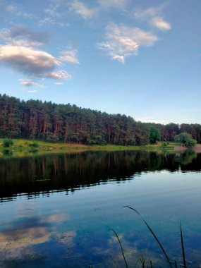 Göl ve ormanlı güzel bir manzara.