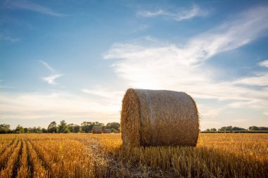 Kırsal kesimde saman yığını, yazın sonlarında sıcak güneşli hava. Tarla, hasat, tarım kavramı.