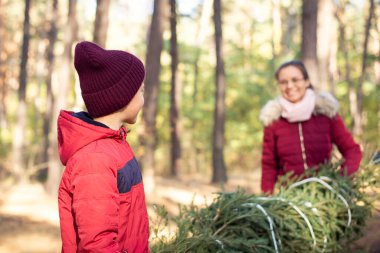 Güzel güneşli bir günde, bir Noel ağacı olan ormanda bir aile. Mutlu anne ve oğul yeşil köknar ağacını eve getiriyor, yürürken konuşuyor ve gülüyorlar..