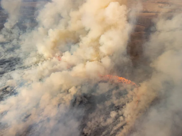 Aerial photo of wildfire in field. Clouds of smoke of wildfire burning dry grass in spring