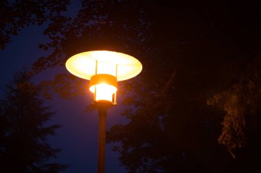 Gece, ağacın altında, karanlık arka planda parlayan sarı fener.