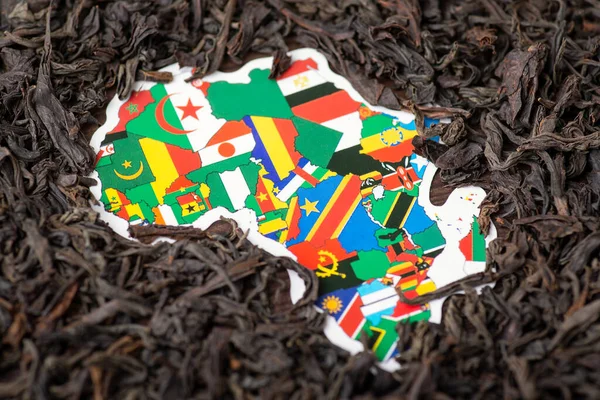 Map of Africa continent surrounded by dried black tea leaves. Concept of tea business in African countries