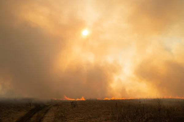 Clouds of smoke because of forest and field fire. Dangerous fire spreading through dry grass