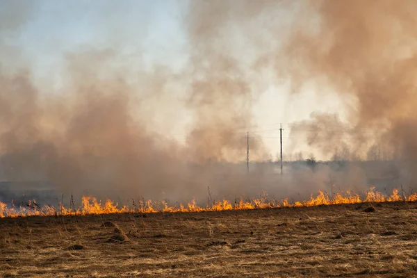 Вогонь Полях Болотах Спалює Своєму Шляху Сильний Вогонь Поширюється Через — стокове фото