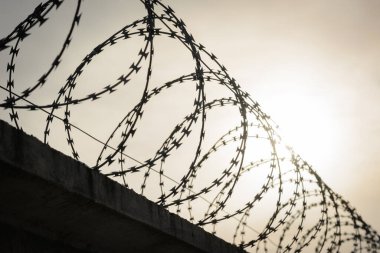 Ülkeler arasındaki sınırda dikenli çitler. Savaş sırasında ülkenin bağımsızlığını düşmanlardan korumak için savunma duvarı.