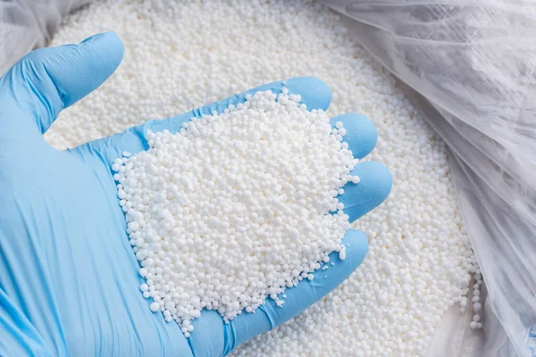 Closeup Photo Hand Blue Glove Holds White Fertilizer Plants Big — Stock Photo, Image