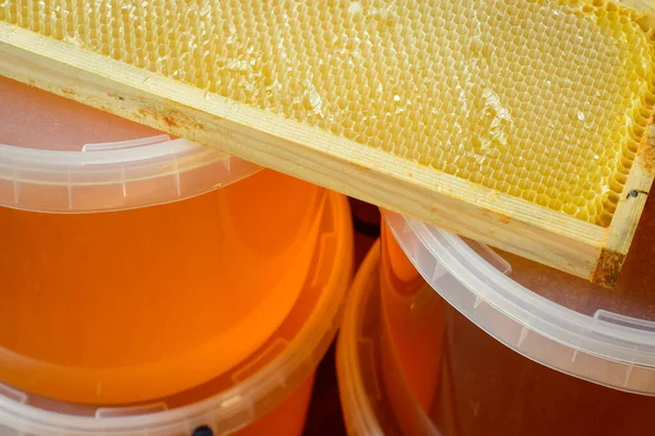 Fresh golden linden honey in plastic containers after Spring harvesting near empty honey frame