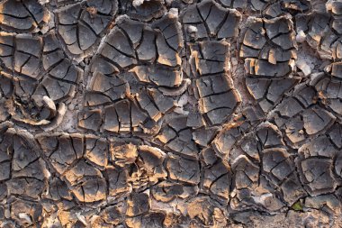 Çölde bir sürü çizik olan kuru bir yüzey.
