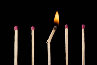 One broken burning match in line with other ordinary unignited matches. Concept of diversity, different