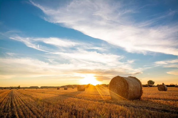 Güneşin batışının güzel manzarası büyük bir tarımsal saman tarlasının üzerine yuvarlandı ve balyalar haline geldi. Kırsal manzara