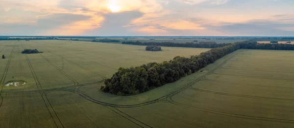 Beautiful Drone Landscape Field Rye Countryside Calm Evening Atmosphere Agricultural — Φωτογραφία Αρχείου